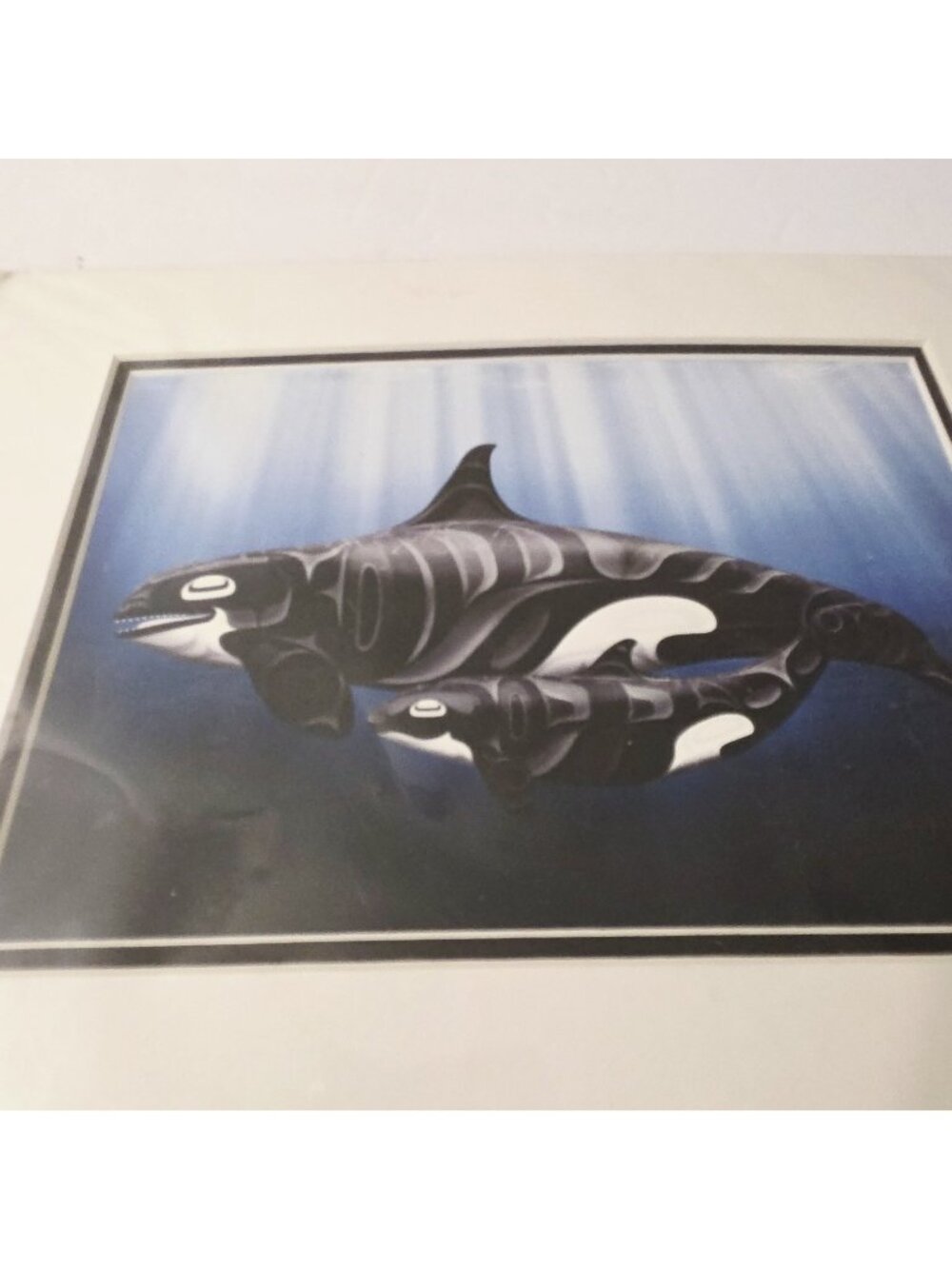 Protection Kwakiutl Killer Whales Andy Everson Matted Art Card Ocean Sea Life